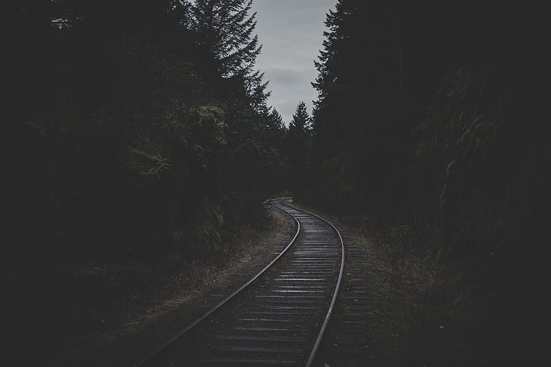 rails, railroad, dark, trees, dusk, HD wallpaper