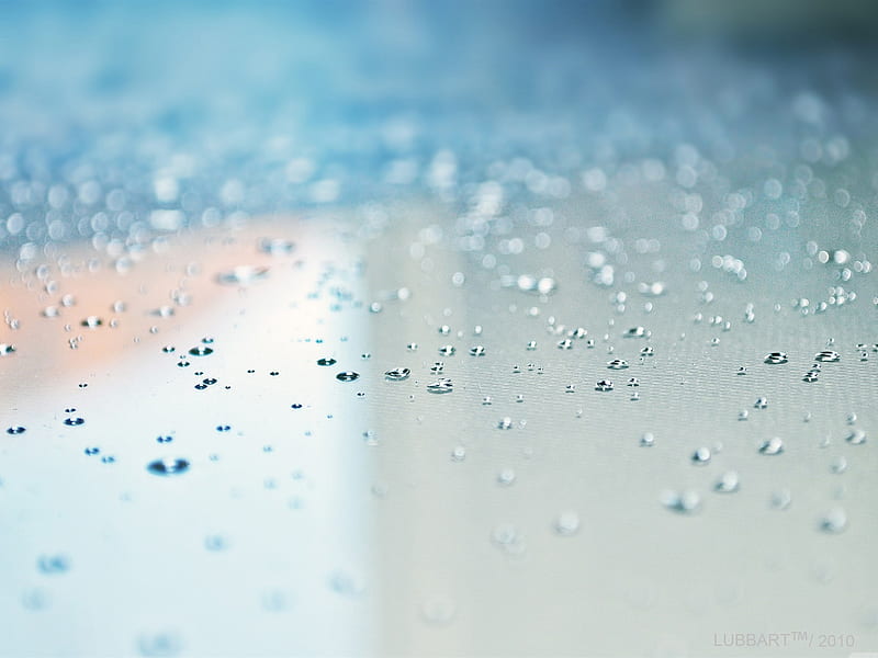 Drops of water droplets macro graphy 05, HD wallpaper