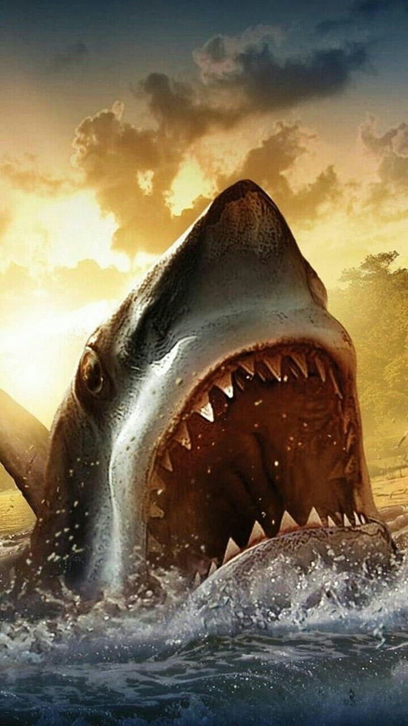 shark, art, sea, sharks, HD phone wallpaper