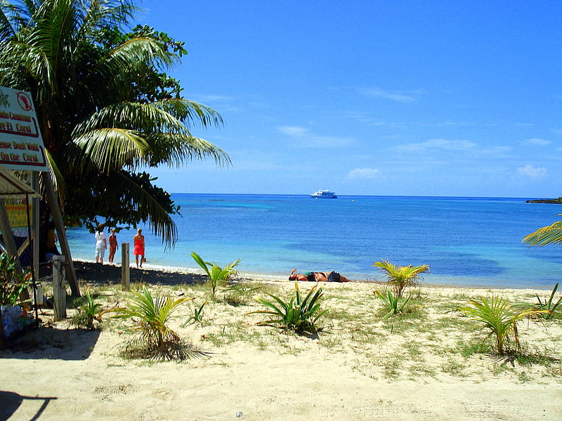 The beach, beach, water, honduras, blue, HD wallpaper | Peakpx