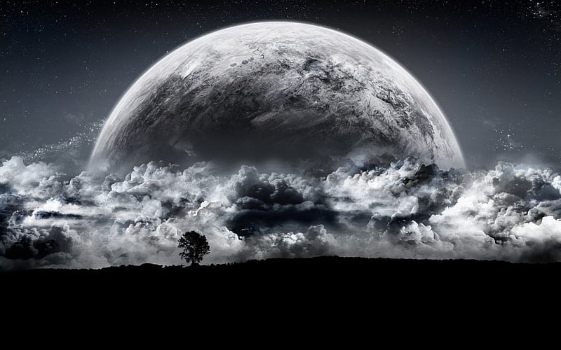 Rise of the Planet, stars, moon, horizon, moonlight, silhouette, trees, clouds, HD wallpaper