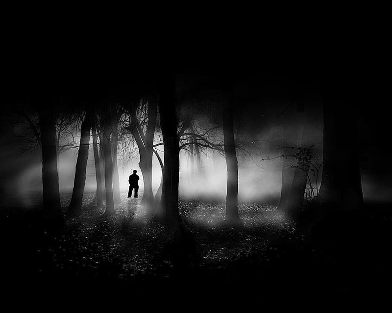 Off In The Distance Forest Entertainment People Hd Wallpaper Peakpx