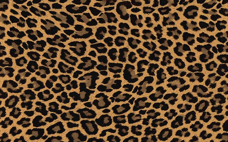 Pink Leopard Print, Leopard Skin, HD wallpaper