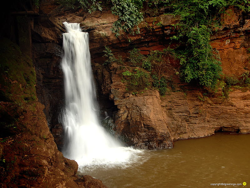 Rainforest Waterfall, rocks, fall, pool, shrubs, water, green, plants, cliff, cascade, HD wallpaper