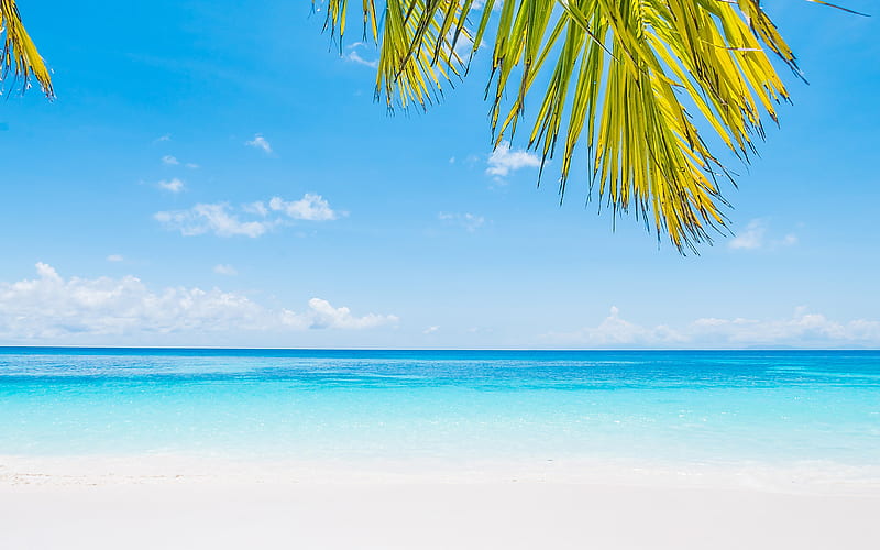 sea landscape, ocean, beach, tropical island, summer, blue lagoon, azure, white sand, HD wallpaper