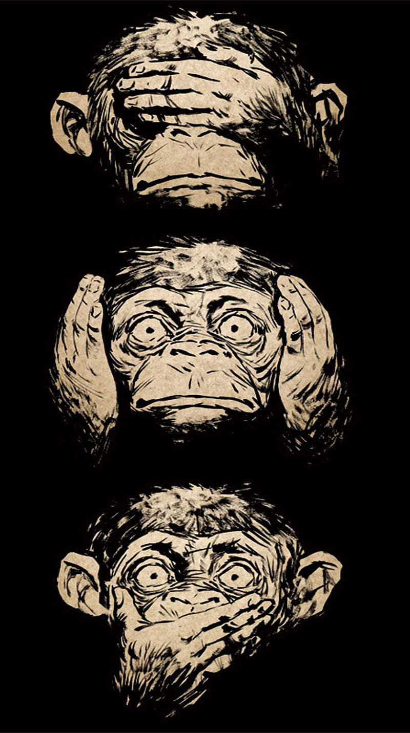 Monkey face, HD phone wallpaper