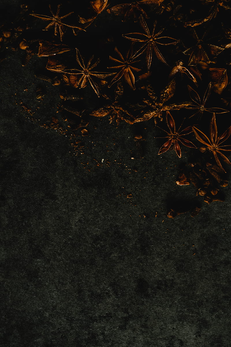 Brown Leaves on Black Sand, HD phone wallpaper