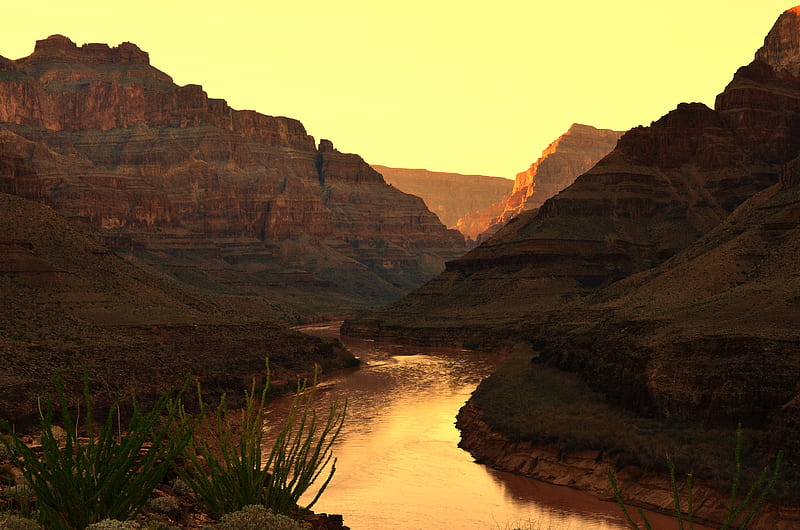 canyon, river, sunset, rocks, plants, HD wallpaper