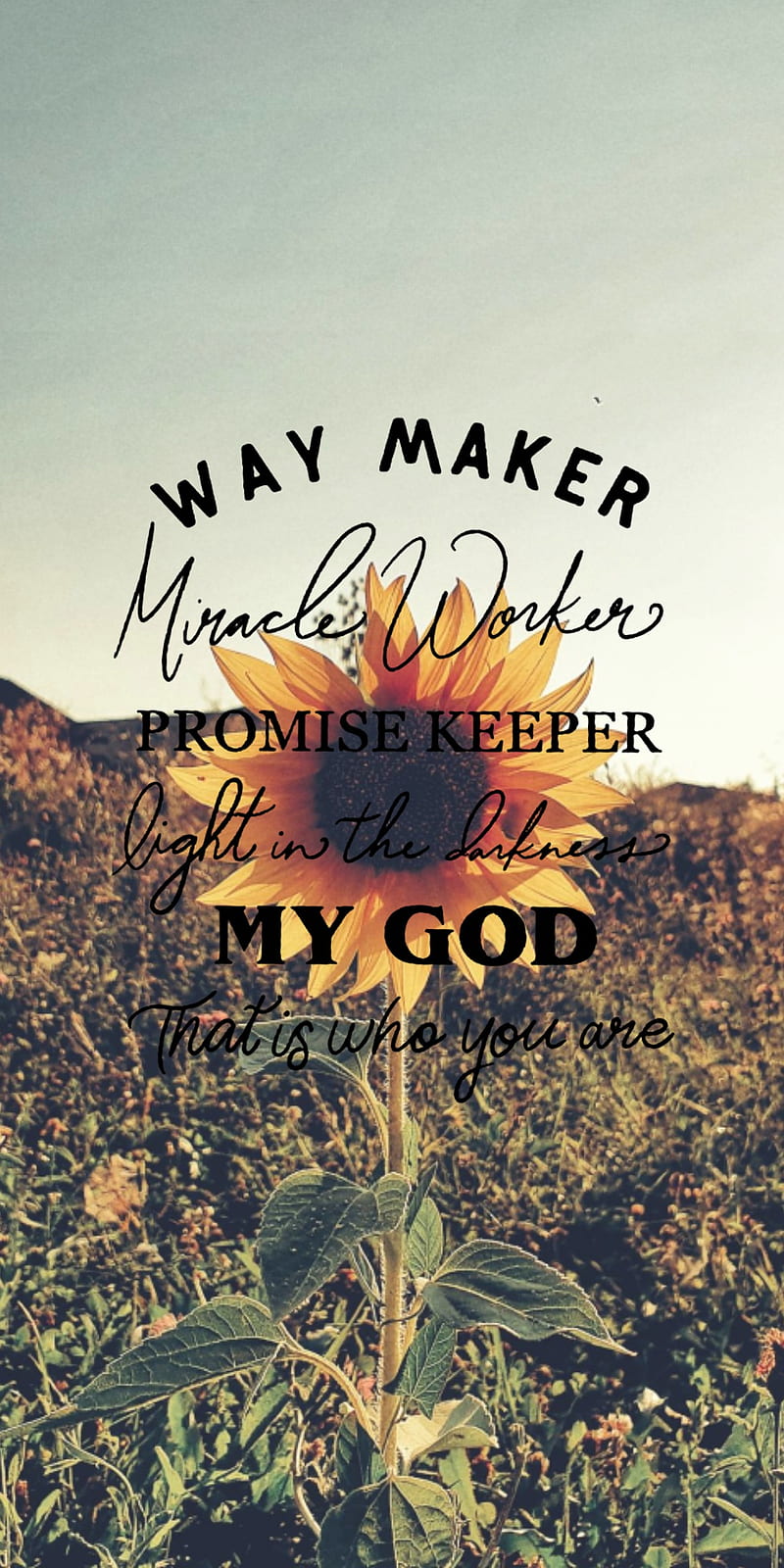 Way maker sunflower, quotes, sayings, scenery, sunflower, HD phone ...