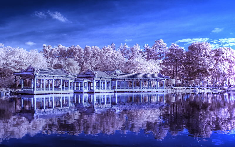 Shedding a Different Light, lovely, infrared, gardens, bonito, blues, singapore, HD wallpaper