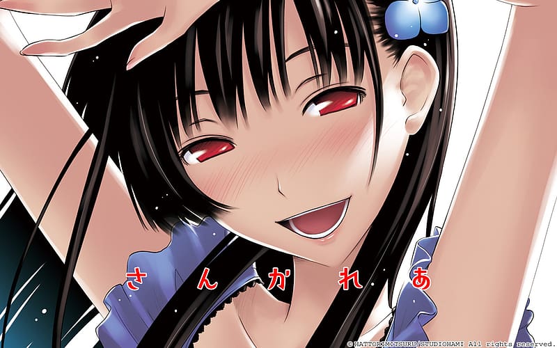 Anime Sankarea Rea Sanka Chihiro Furuya Fondo de Pantalla | Manga anime  girl, Good anime series, Anime romance