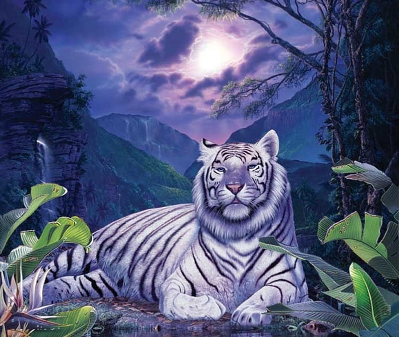 White tiger, cloud, moon, big cat, tiger, animal, moon, tigru, white, night, HD wallpaper