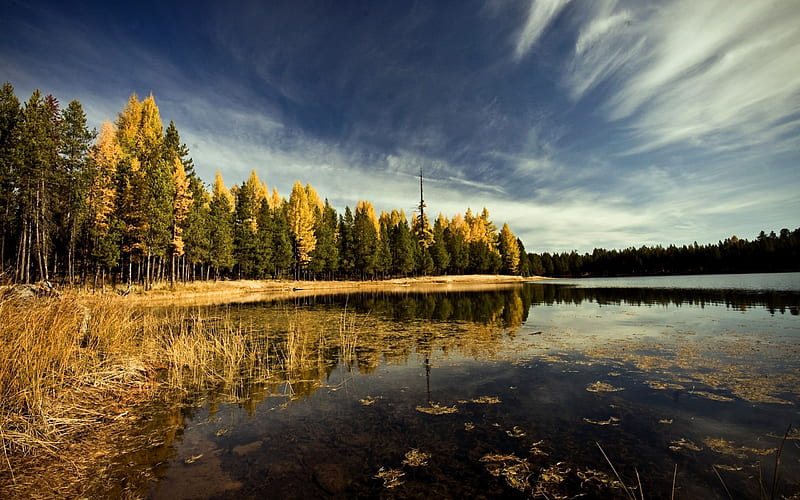 Lake In Autumn, HD wallpaper