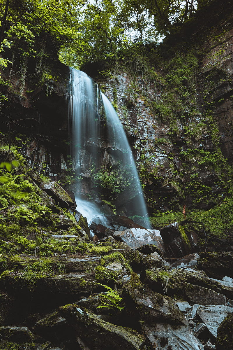 waterfall, stream, stones, moss, fern, HD phone wallpaper