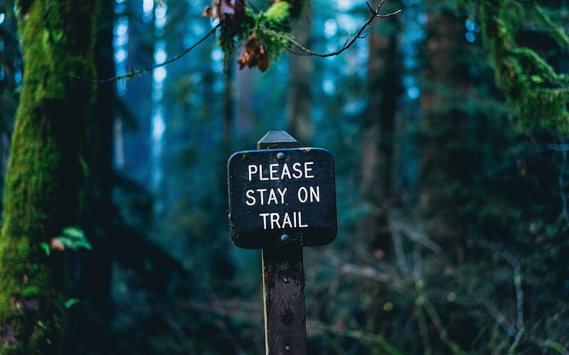 Please Stay On Trail, motivation quotes, sign in the forest, iron sign, HD wallpaper