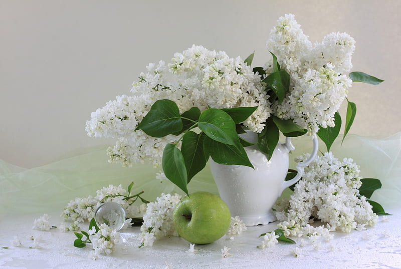 white lilacs, apple, still life, green, bouquet, white, lilacs, jag, HD wallpaper