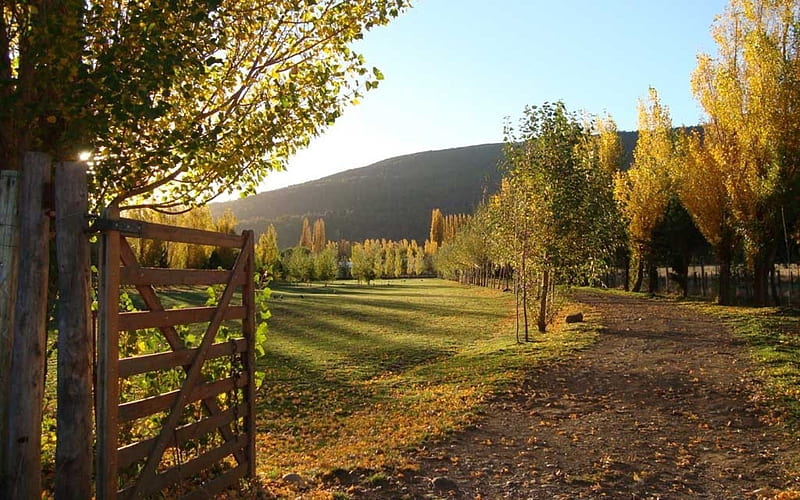 Gate to Autumn, autumn, road, gate, path, hill, trees, HD wallpaper