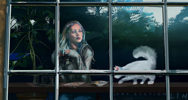 Women, Artistic, Cat, Girl, Window, HD wallpaper