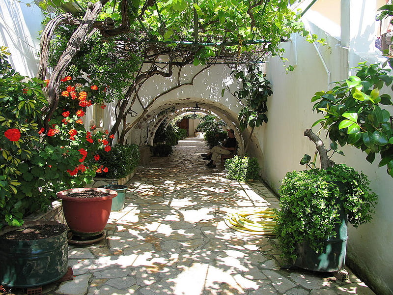 Corfu, greece, flowers, street, HD wallpaper