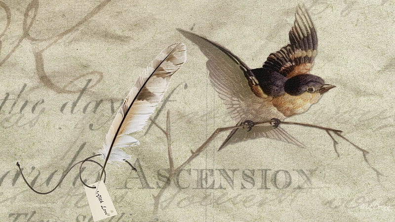 Vintage Brown Bird, feather pen, antique, bird, tag, firefox persona, paper, old fashion, HD wallpaper