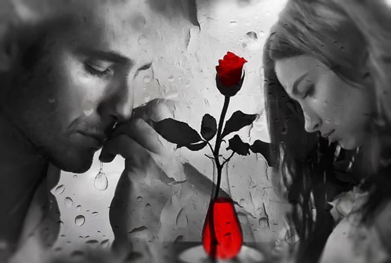 ~♡*♡~, emotions, red, rose, guy, raindrops, drops, woman, two colors, young, couple, feelings, sadness, man, brunette, girl, sorrow, single, HD wallpaper