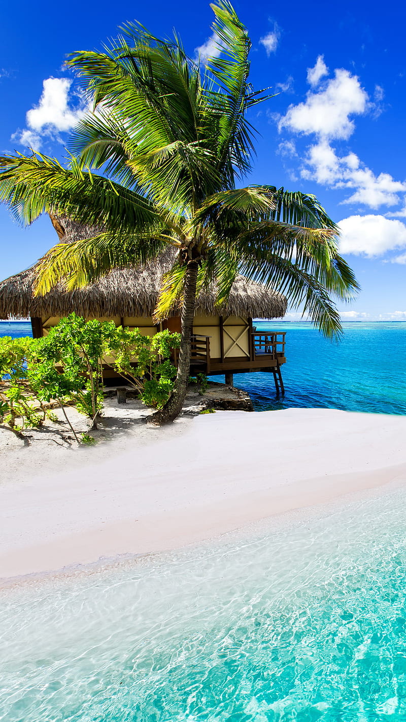 Tropical Paradise, beach, blue, hut, ocean, palm, sand, sea, HD phone wallpaper