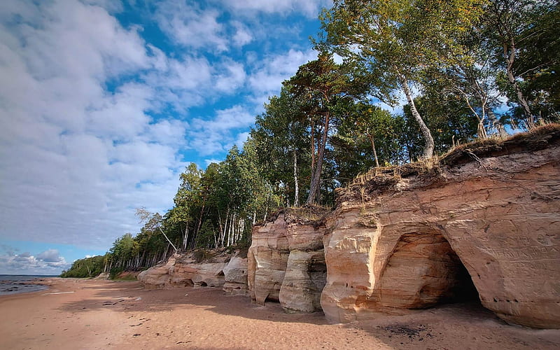 Caves by Sea, cliffs, beach, sea, coast, Latvia, trees, HD wallpaper