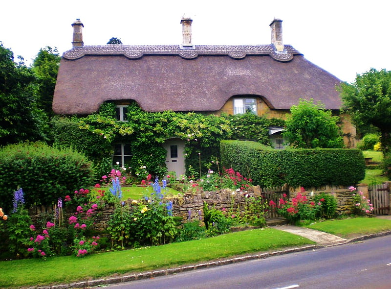 English country cottage, cottage, england, flowers, colors, thatched roof, roses, trees, bushes, HD wallpaper