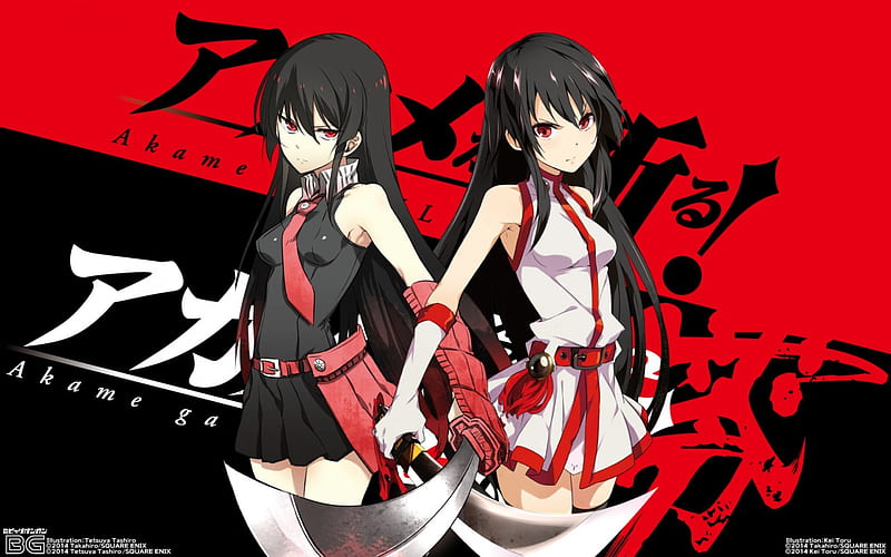 HD wallpaper: anime, anime girls, Akame ga Kill!, black hair, long hair,  red eyes, Wallpaper Flare