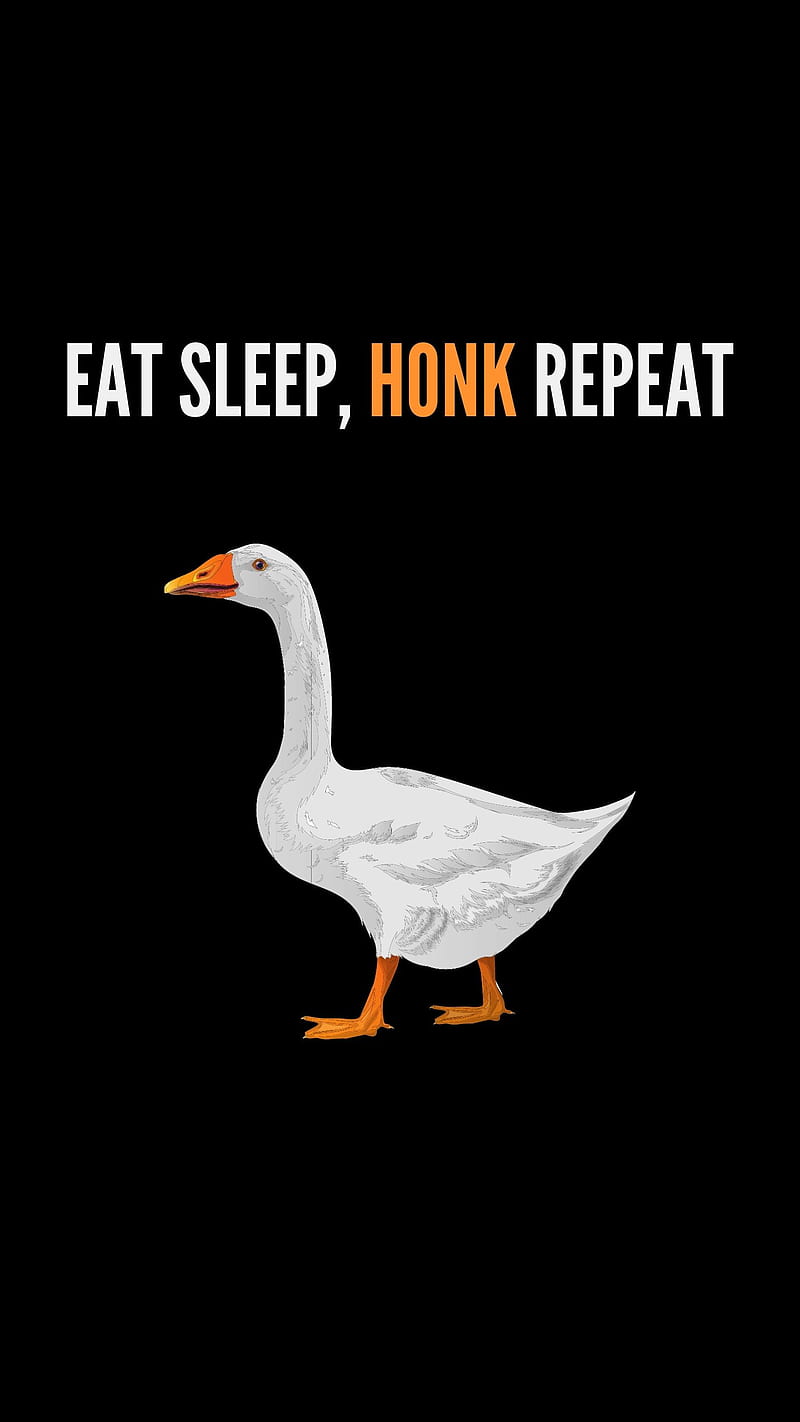 Eat, Sleep, Honk, duck honk memes, funny goose, geese, horrible cartoon,  humor, HD phone wallpaper | Peakpx