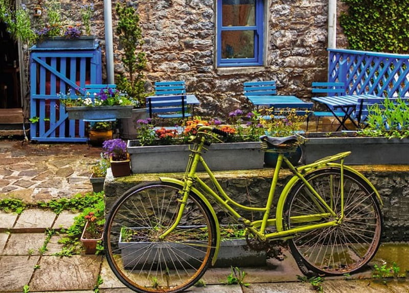 Vintage Bike, fence, house, bicycle, rusty, old, door, HD wallpaper
