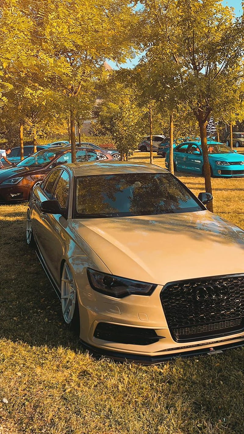 Audi A6 low, carros, sport, tuning, HD phone wallpaper
