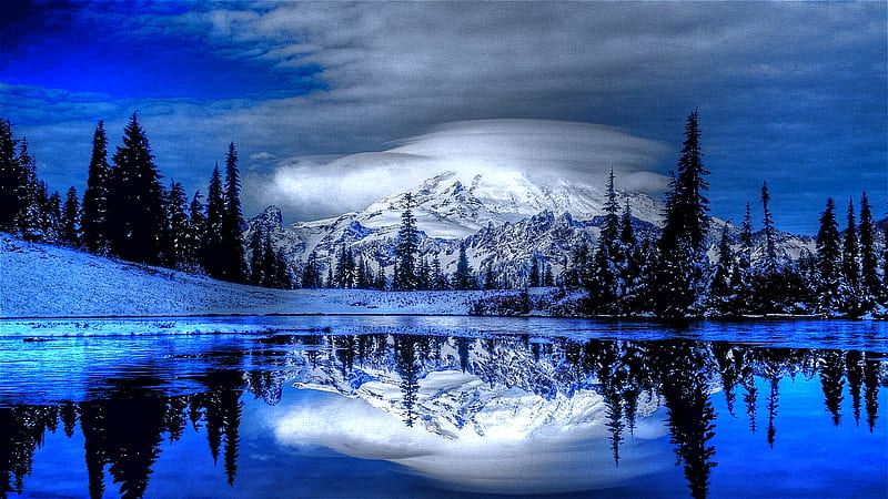 Awash in Winter, darkened, blue hour, dusk, beauty, trees, sky, HD wallpaper