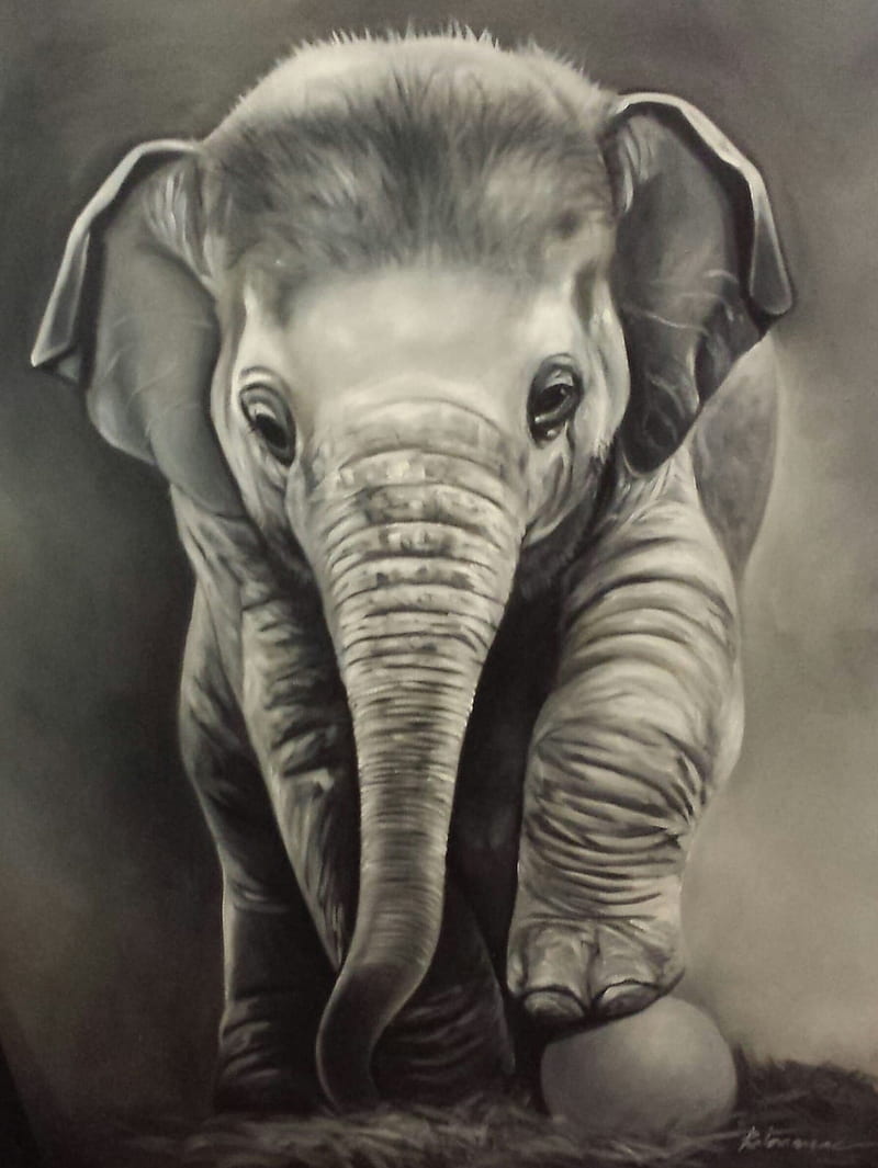 Elephant, elephant painting, elephants, art, animal, HD phone wallpaper |  Peakpx