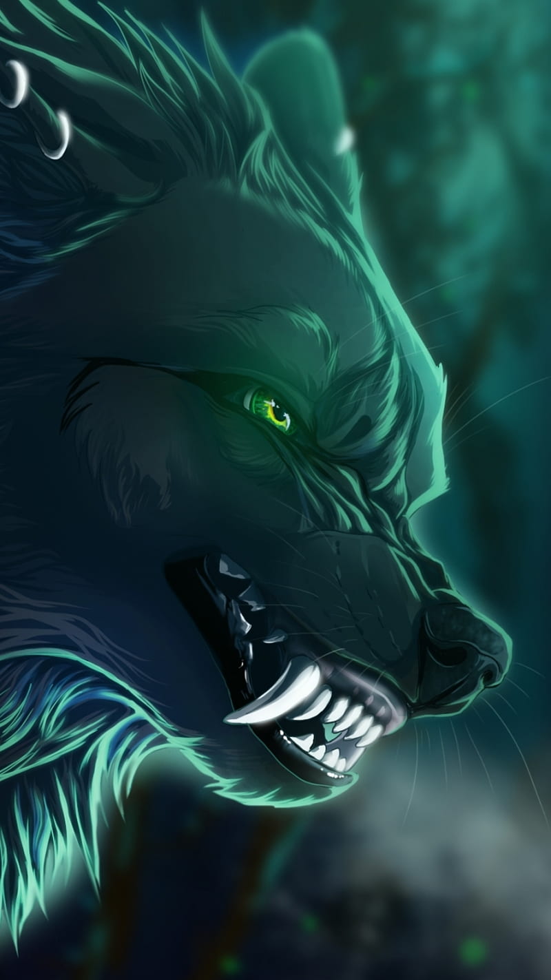 Wolf, dog, HD phone wallpaper