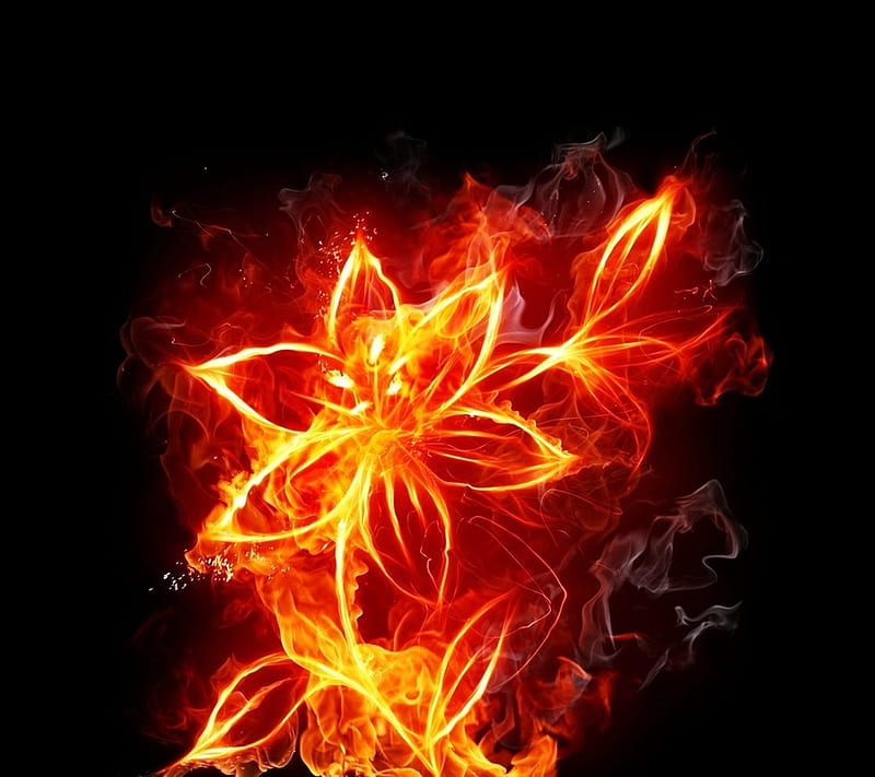 Flower, abstract, black, fire, orange, red, yellow, HD wallpaper
