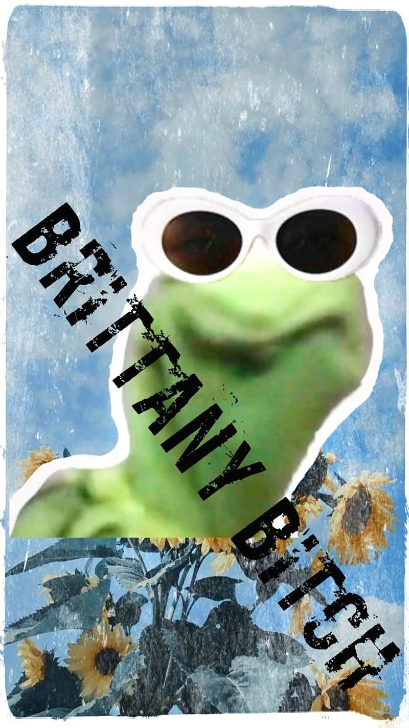 BrittanyBitxh, birtay, kermit the frog, HD phone wallpaper