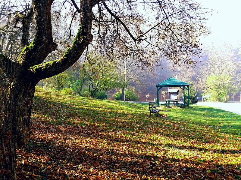 Lovely autumn, Kosovo, Park, Trees, Resort, HD wallpaper