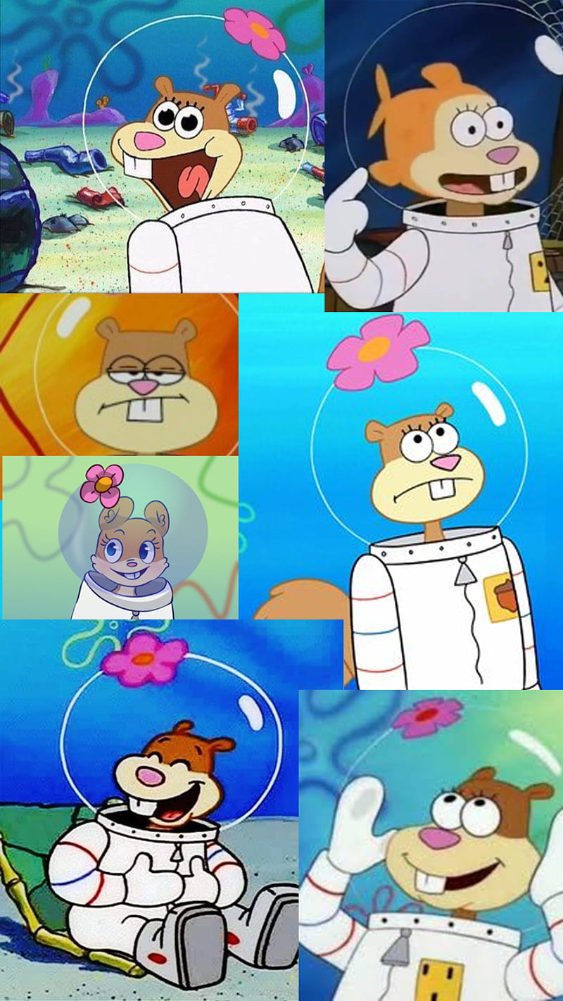 Sandy Cheeks Arenita Bob Esponja Cheeks Fish Pescado Sandy Sopngebob Hd Mobile Wallpaper Peakpx