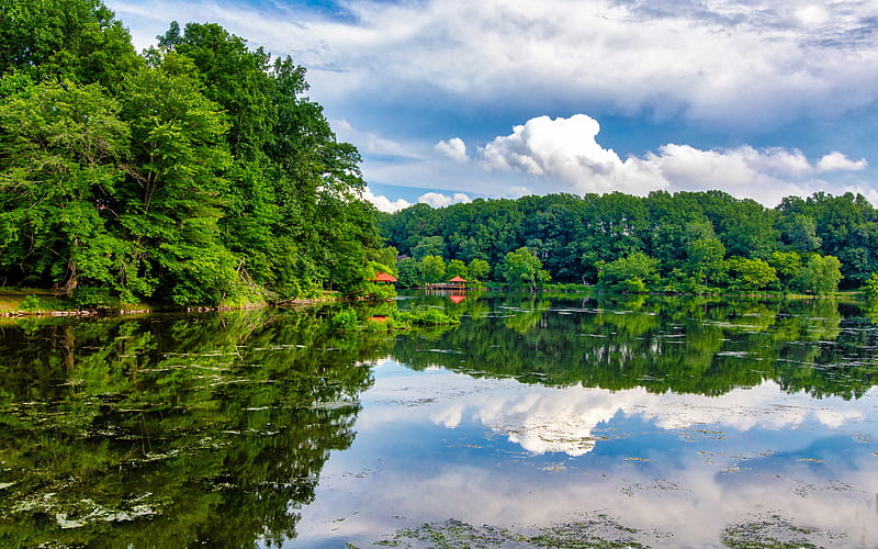 Lake Elkhorn USA, beautiful nature, Columbia, America, Maryland, summer, HD wallpaper