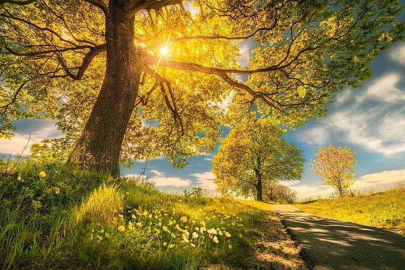 Spring, , windows, HD wallpaper Spring, , windows, HD wallpaper