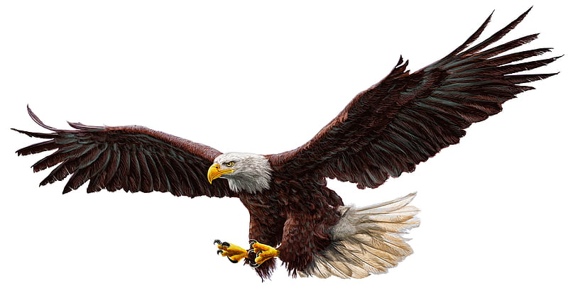 águila calva, arte, alas, luminos, pasare, fantasía, vultur, pájaro, pluma,  blanco, Fondo de pantalla HD | Peakpx