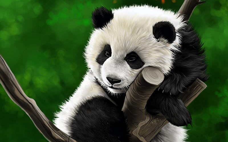 Panda, art, painted panda, cute animals, painted animals, HD wallpaper |  Peakpx