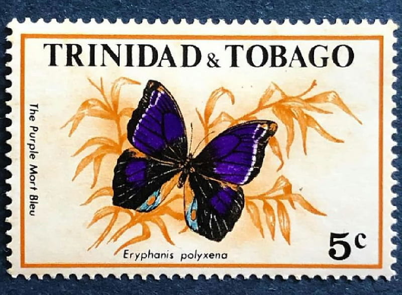 Trinidad and Tobago postage stamp, Philately, Trinidad and Tobago, Stamps, Butterflie, HD wallpaper