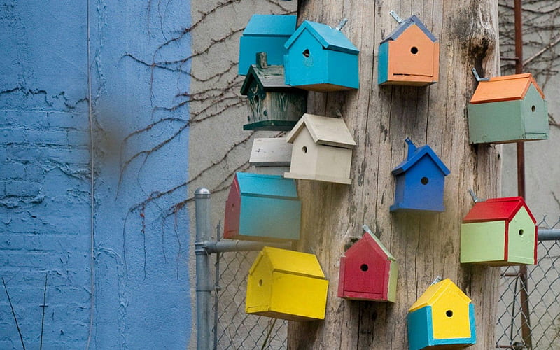 Bird Houses, color, garden, garden ornaments, hobby, HD wallpaper