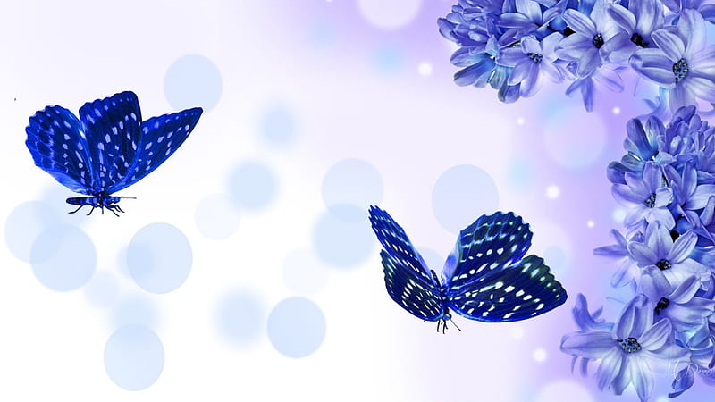 Lilac Blue Butterflies, bokeh, fragrant, flowers, spring, lavender, butterflies, lilacs, blue, HD wallpaper
