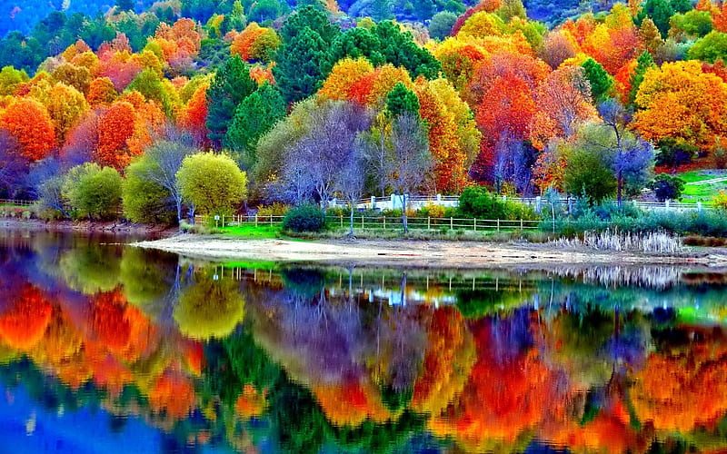 Vibrant Colors, autumn, reflections, trees, lake, water, HD wallpaper