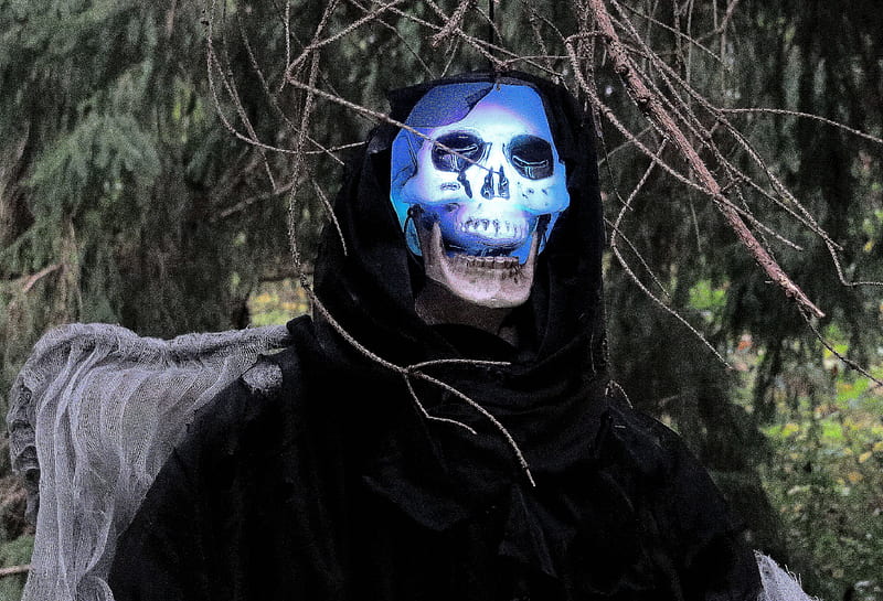 The Grim Reaper, death, costume, evil, party, scary, nature, Halloween, october, events, HD wallpaper