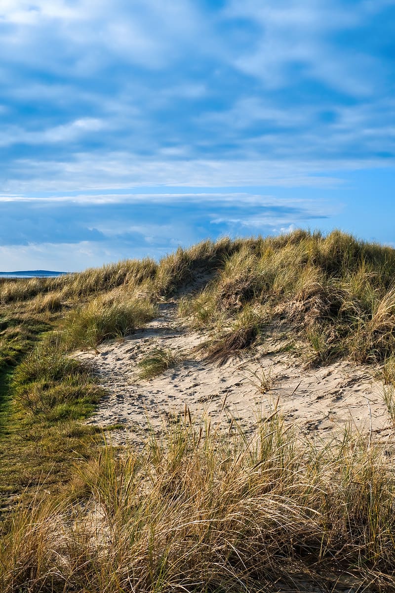 Hill, Grass, Sand, Nature, Hd Phone Wallpaper 