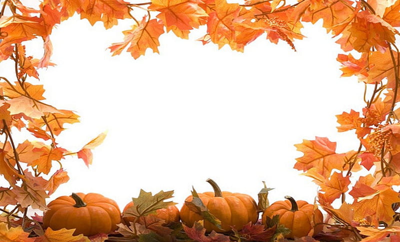autumn frame, autumn, leaves, pumpkin, frame, HD wallpaper